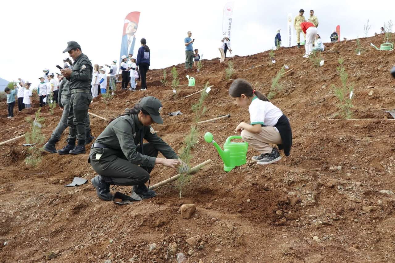 Muğla’da  Yanan Alanlar  Yeniden Yeşerecek 2